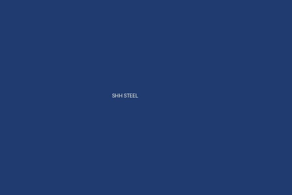 SHH STEEL - Shanghai Shenghonghe Import And Export Co.,Ltd.